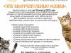 Открытый интернет-конкурс фотографий домашних питомцев-кошек «Эти заМУРчательные кошки»