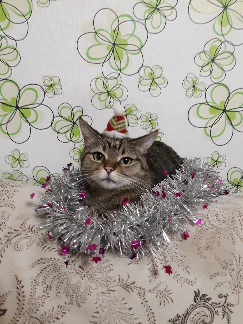 Sokerina-N.V..jpg Sokerina-N.V..jpg