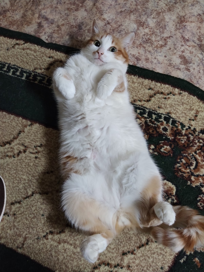 Yudin-D..jpg Yudin-D..jpg