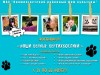 Подведены итоги Открытого интернет-конкурса фотографий «Наши верные вертихвостики»