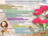 План мероприятий 9 мая 2019 года